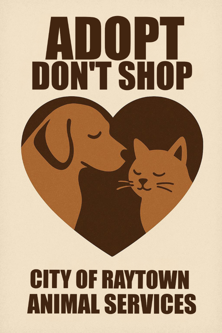 Adopt Don't Shop - Copy